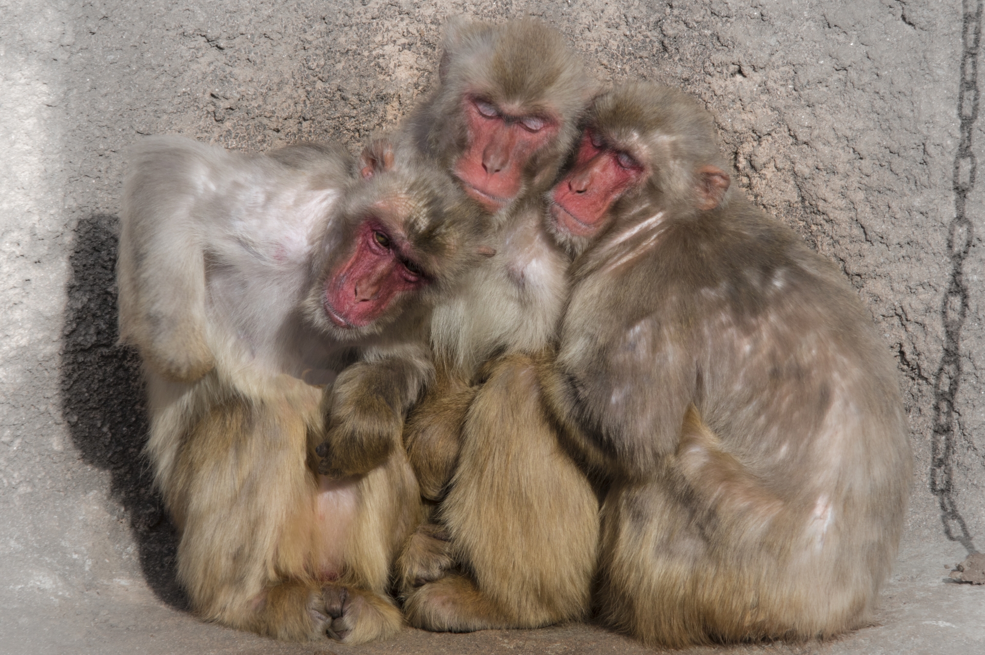 桐生が岡動物園