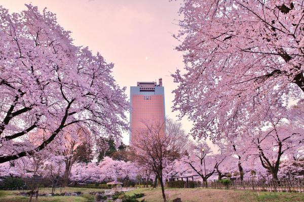 前橋公園