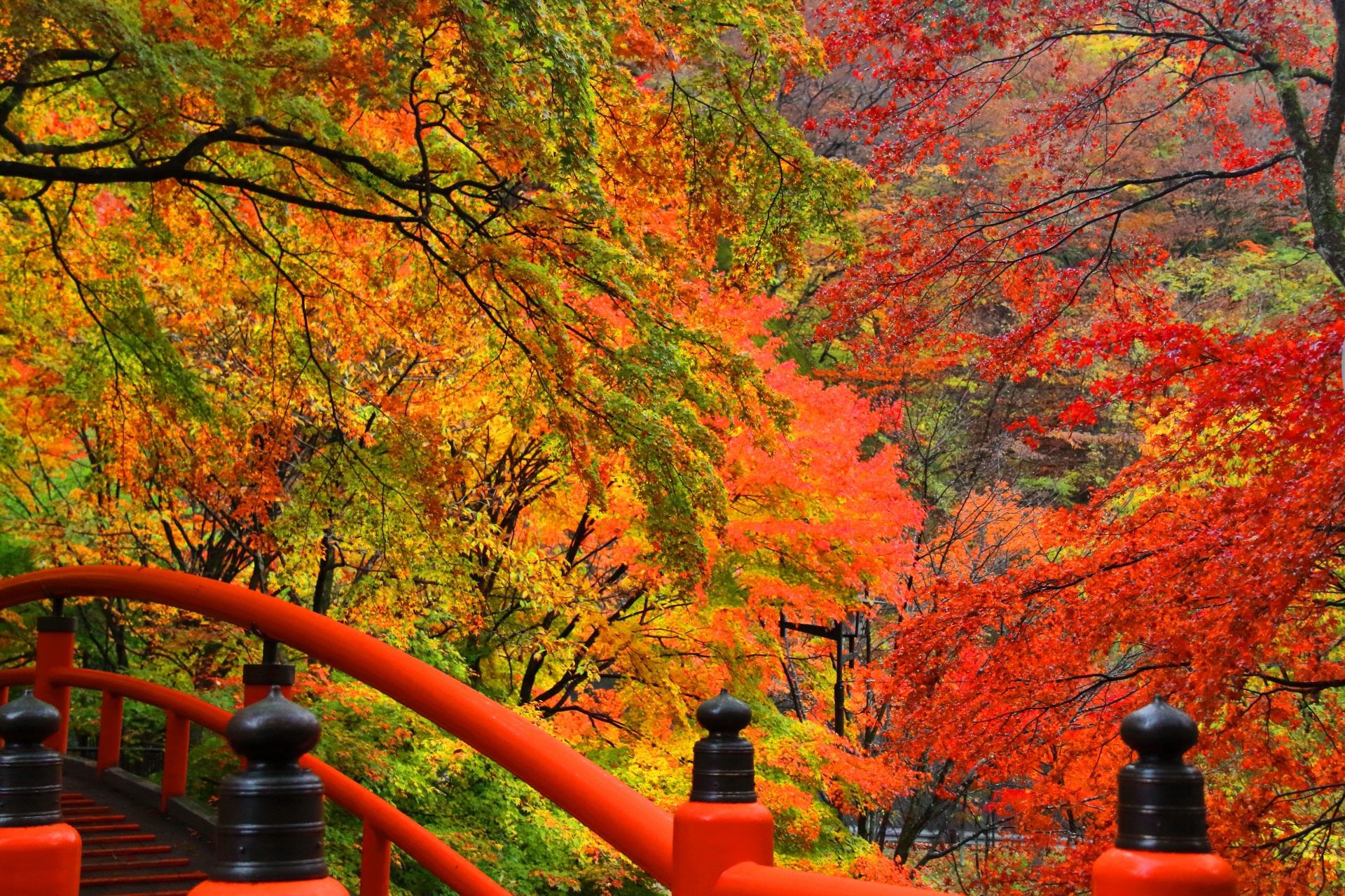 河鹿橋