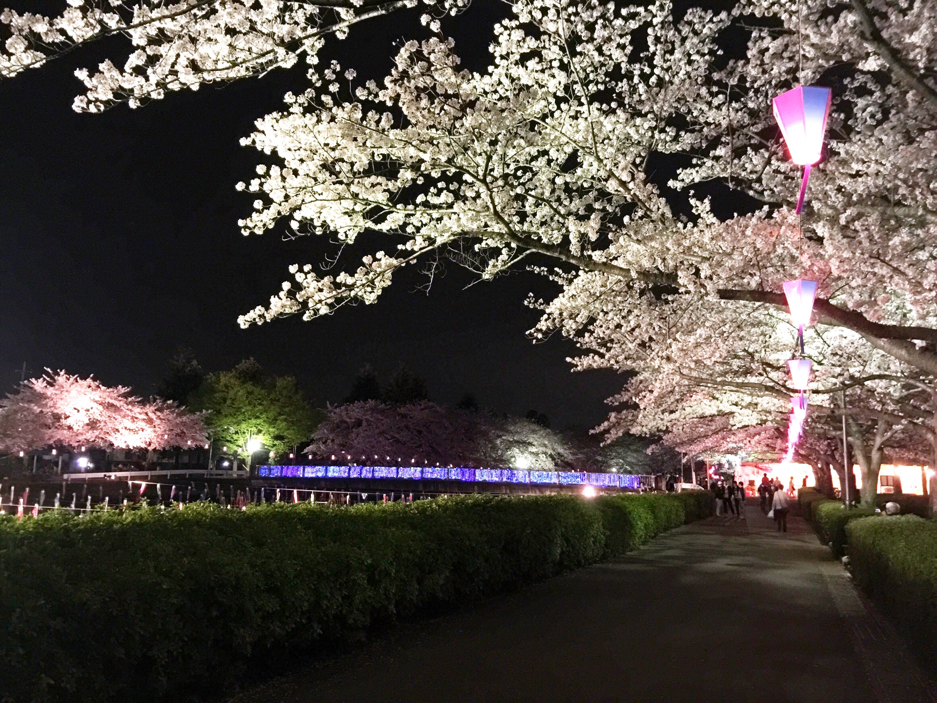 鶴生田川