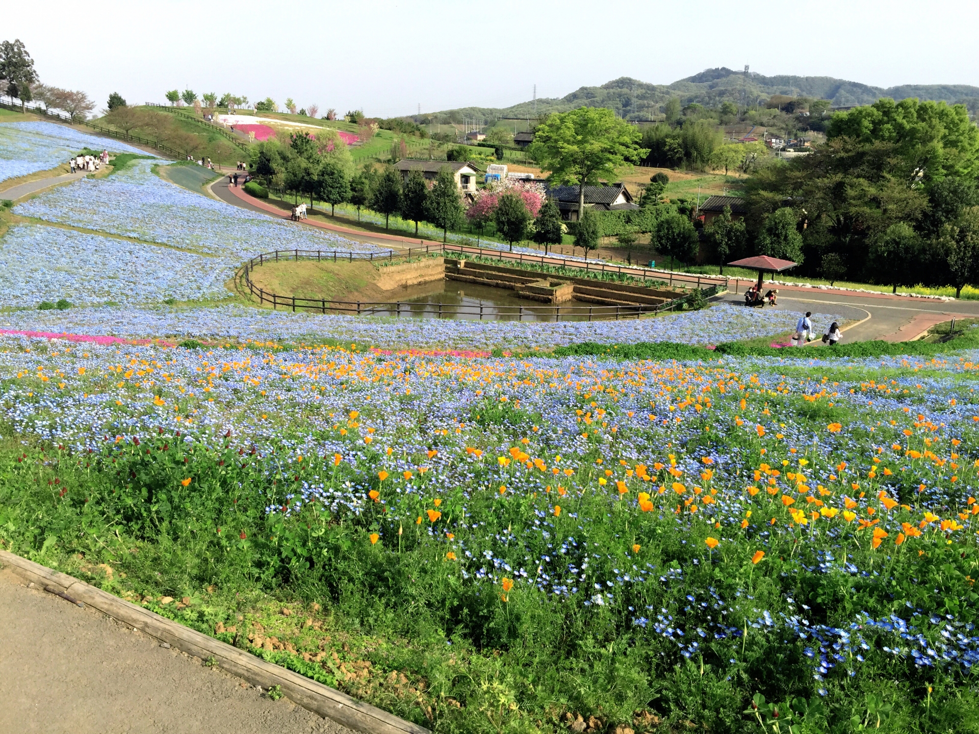 八王子山公園(北部運動公園)