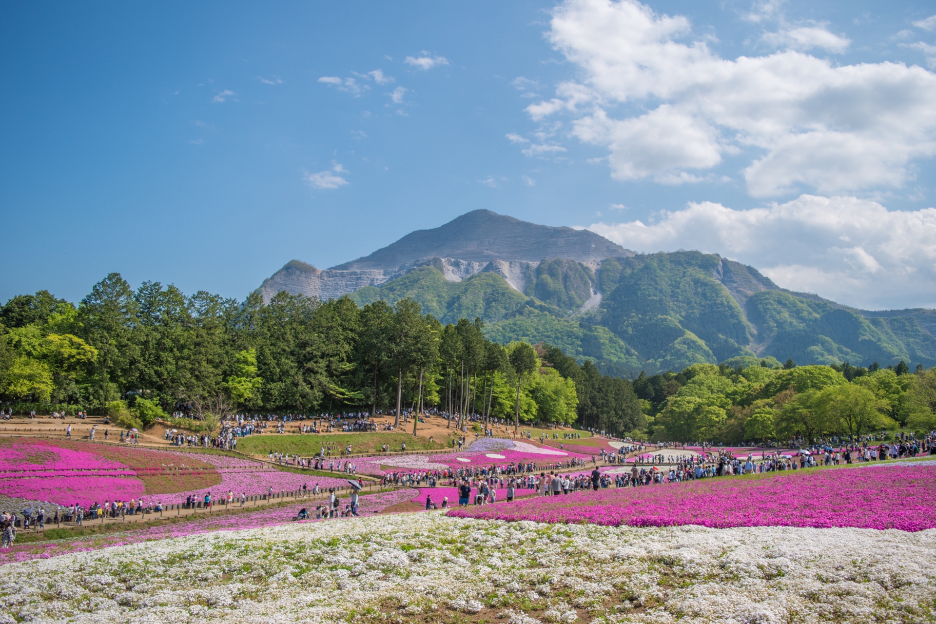 羊山公園