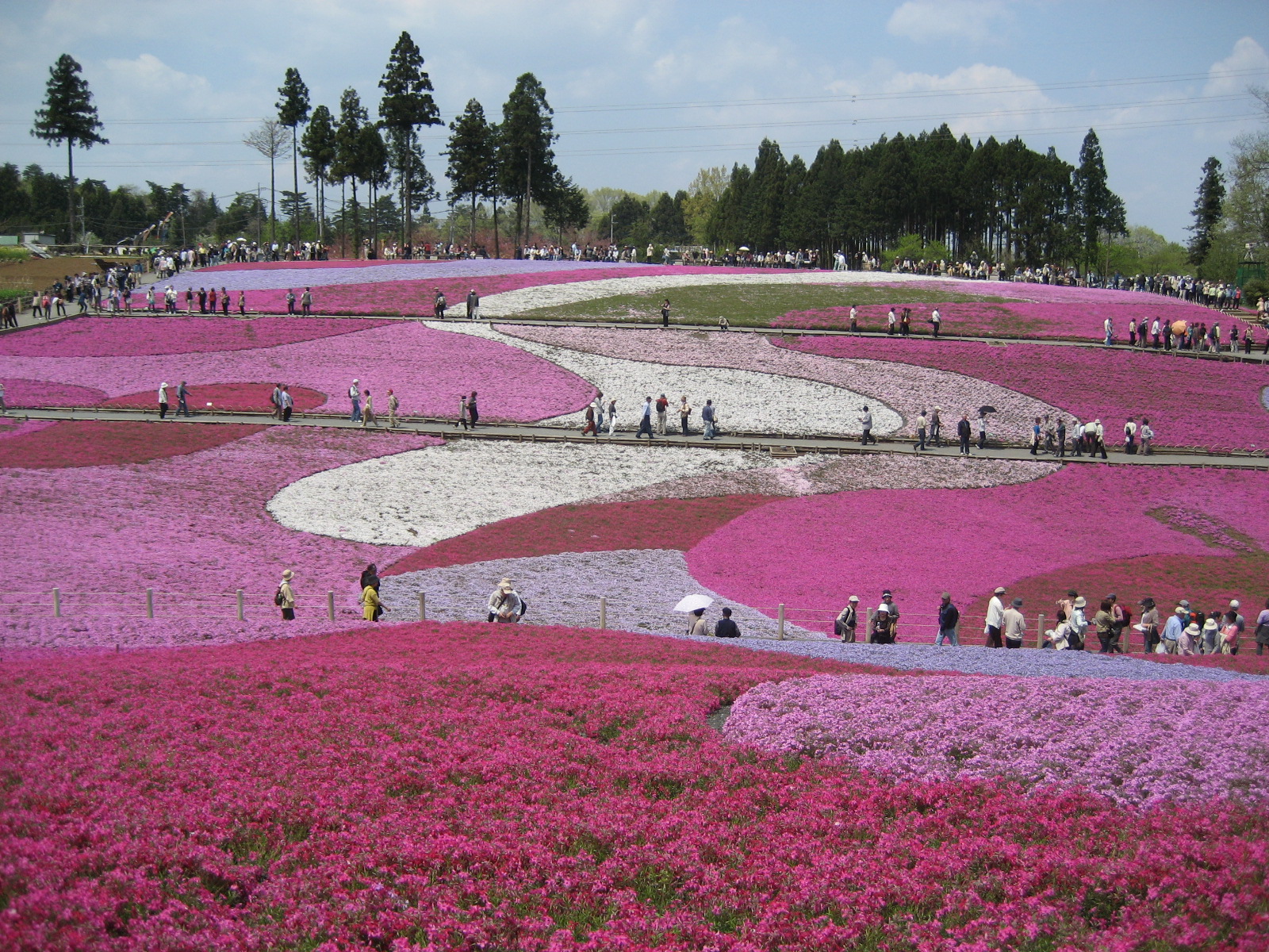 大宮公園