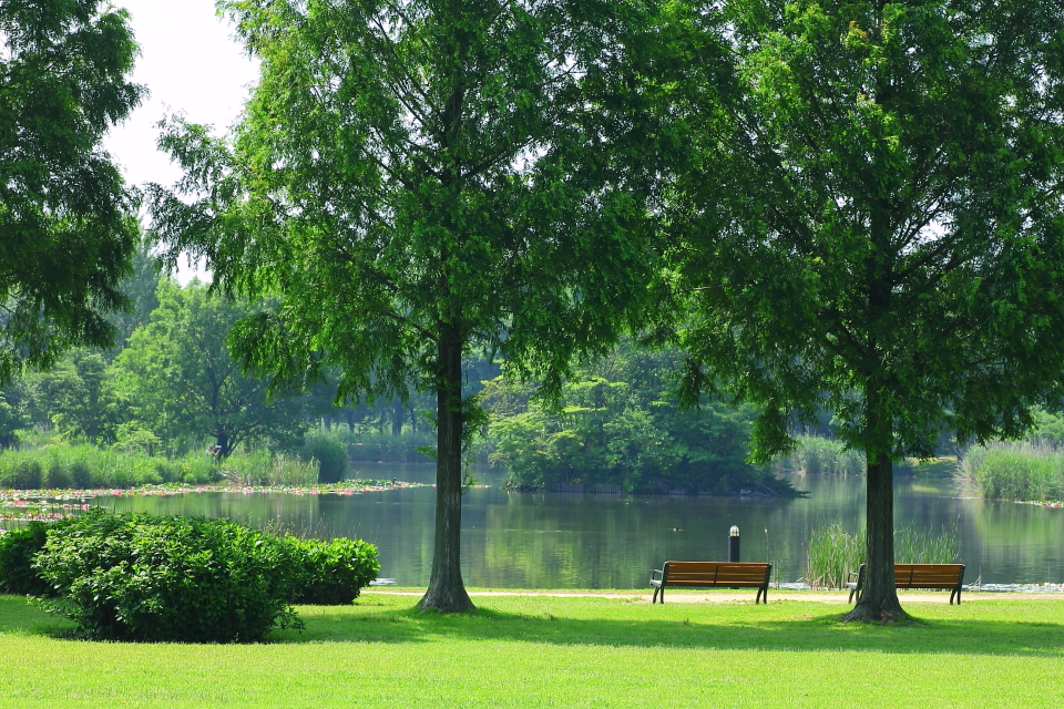 見沼自然公園