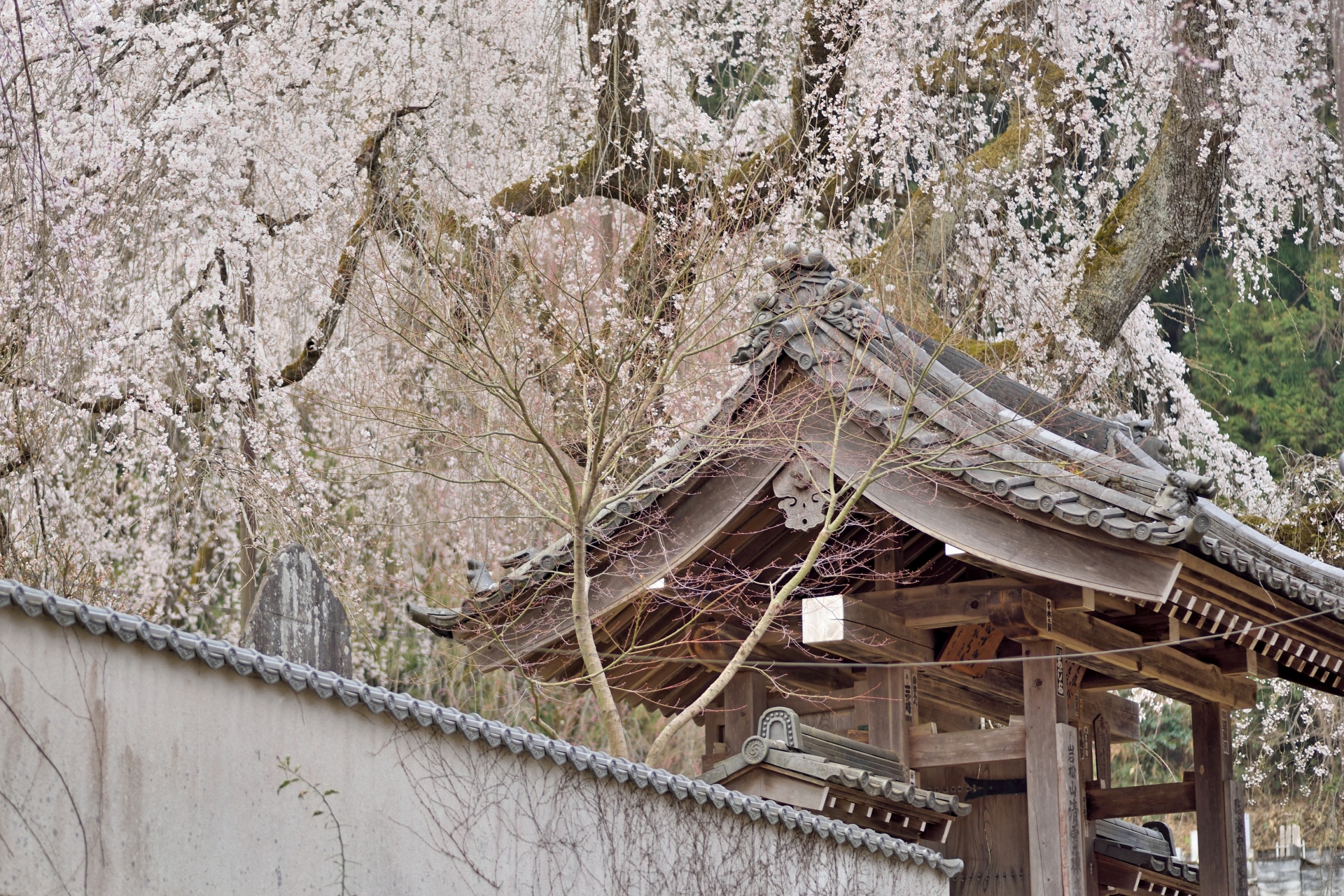 清雲寺