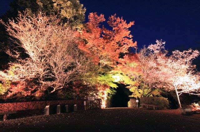 城峯公園