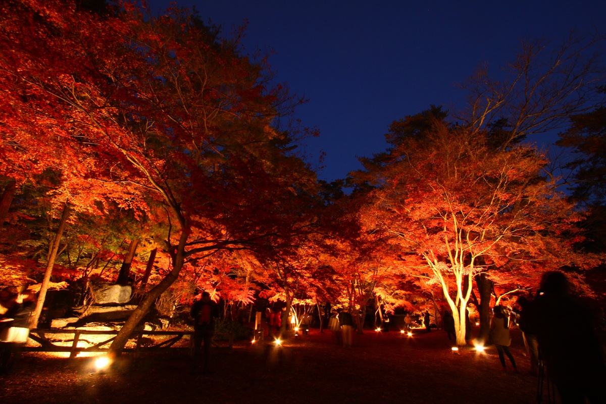 月の石もみじ公園