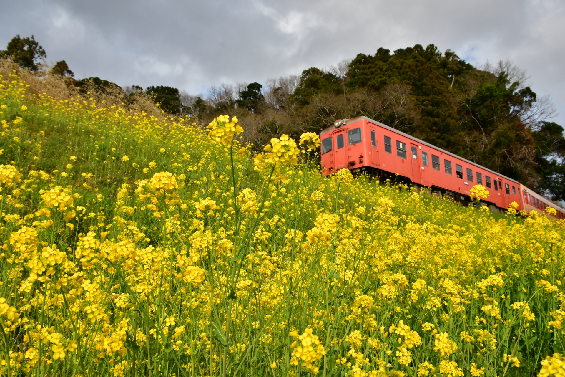 いすみ鉄道