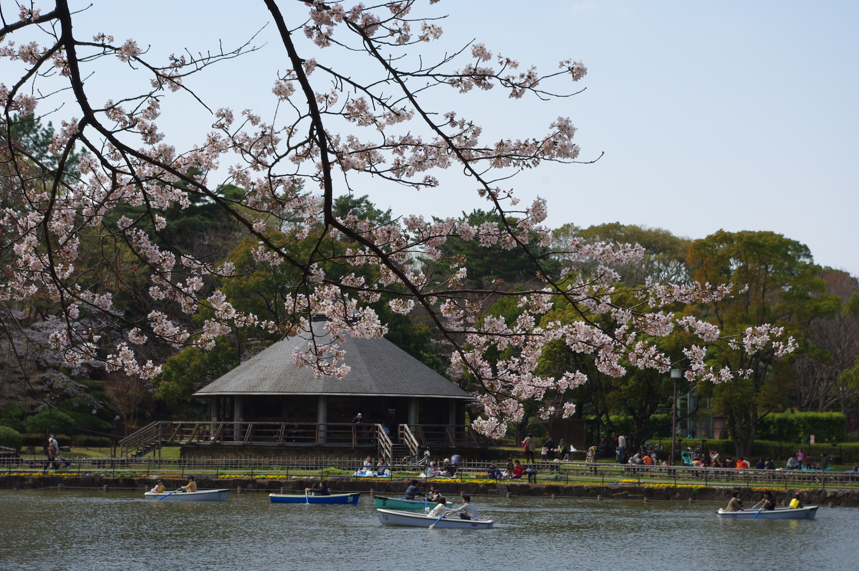 千葉公園