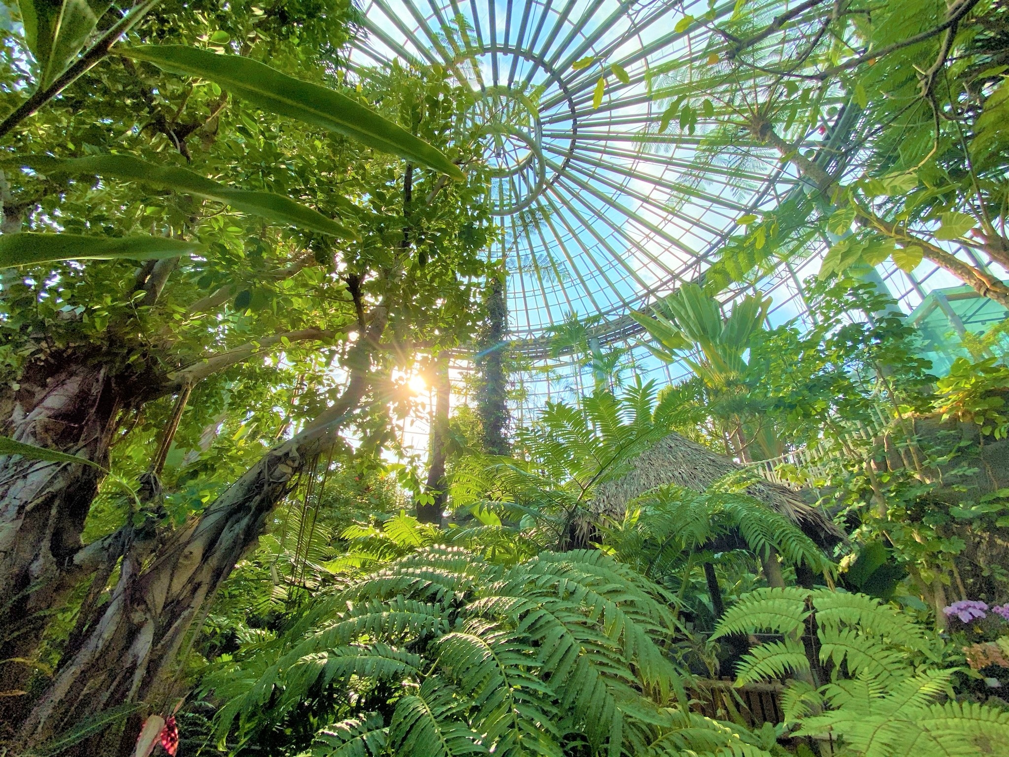 千葉市花の美術館