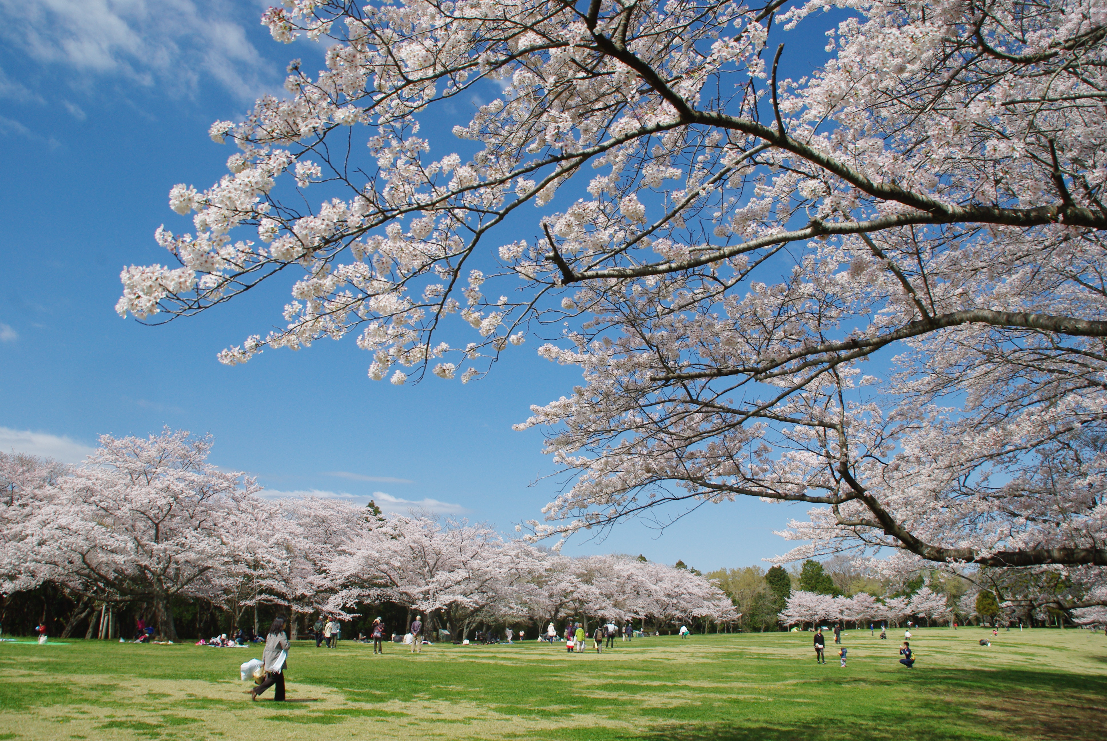 泉自然公園