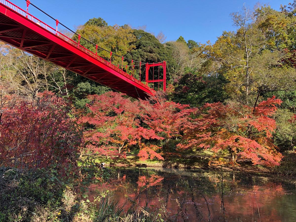 泉自然公園