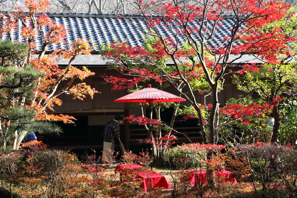 佐倉城址公園