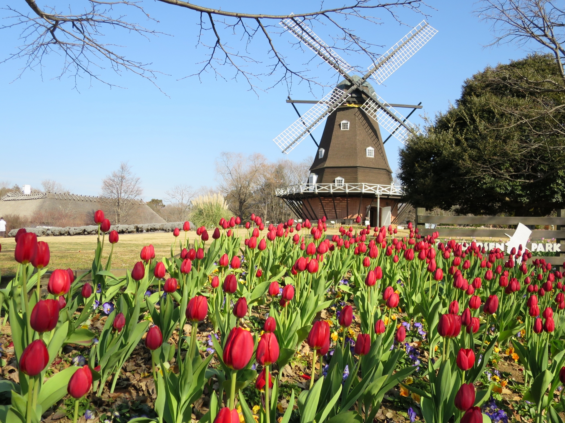 ふなばしアンデルセン公園