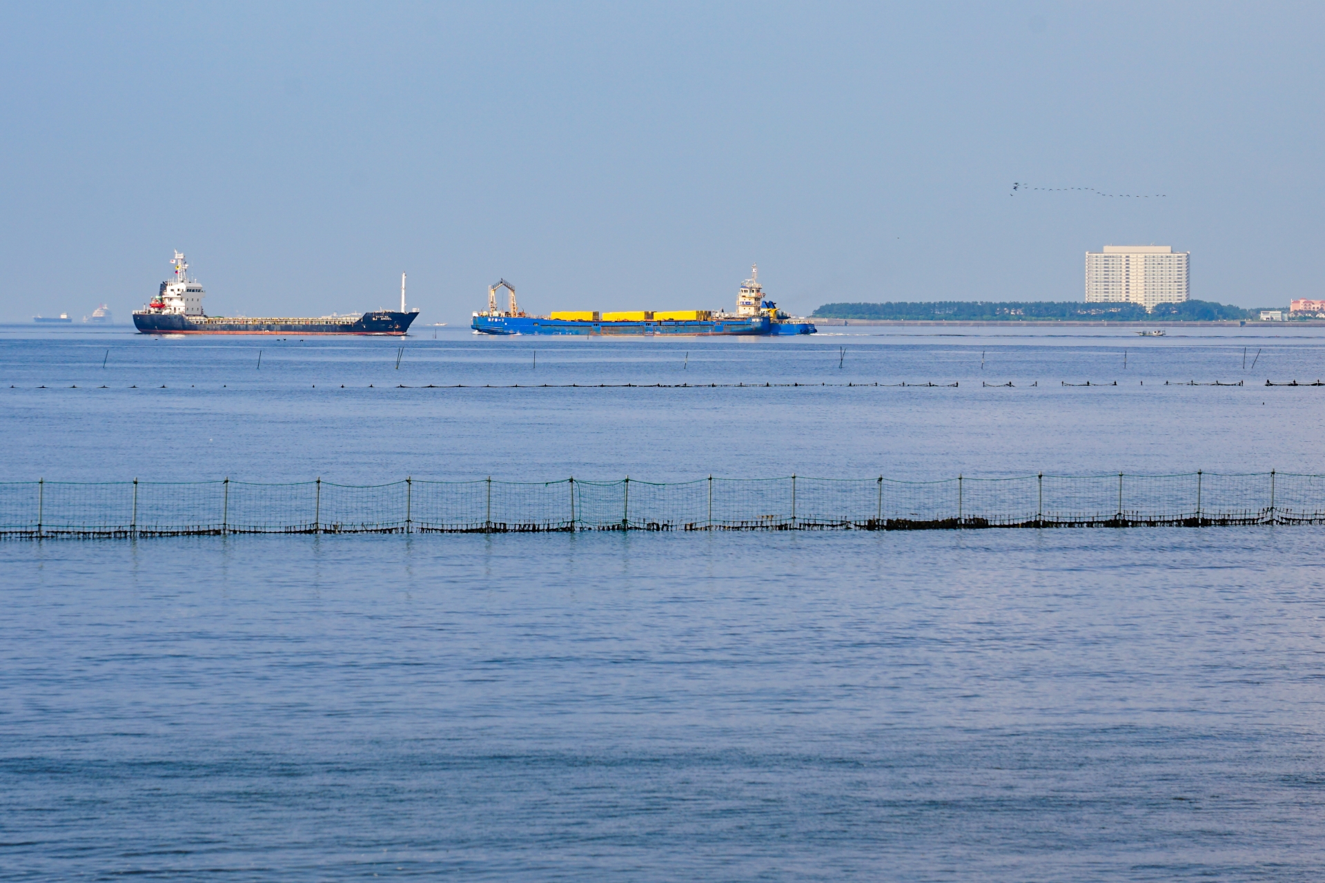 三番瀬海浜公園