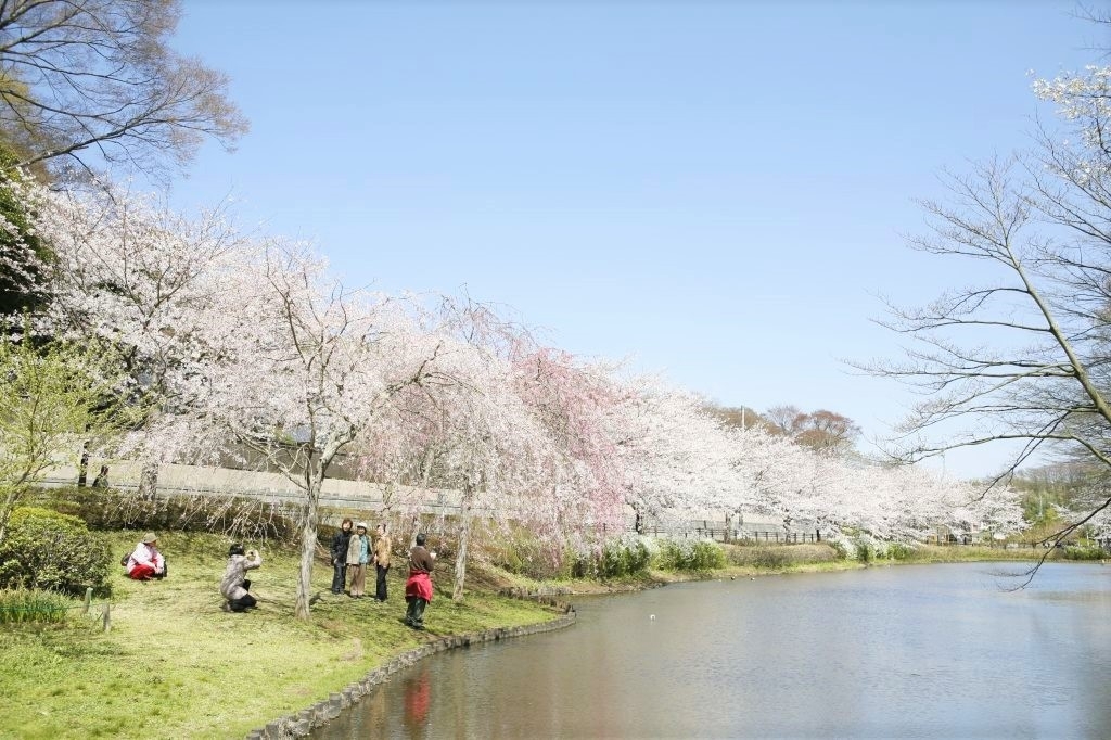 花島公園