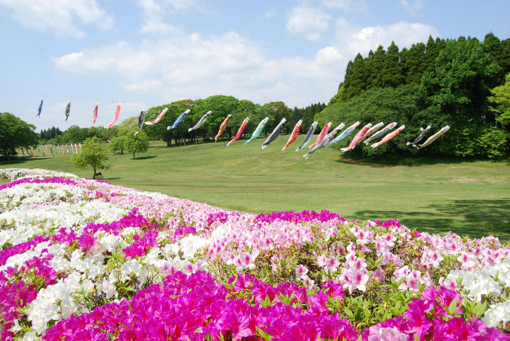 千葉 昭和の森