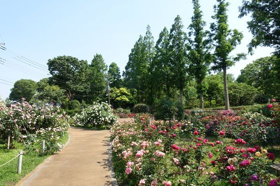 千葉市都市緑化植物園