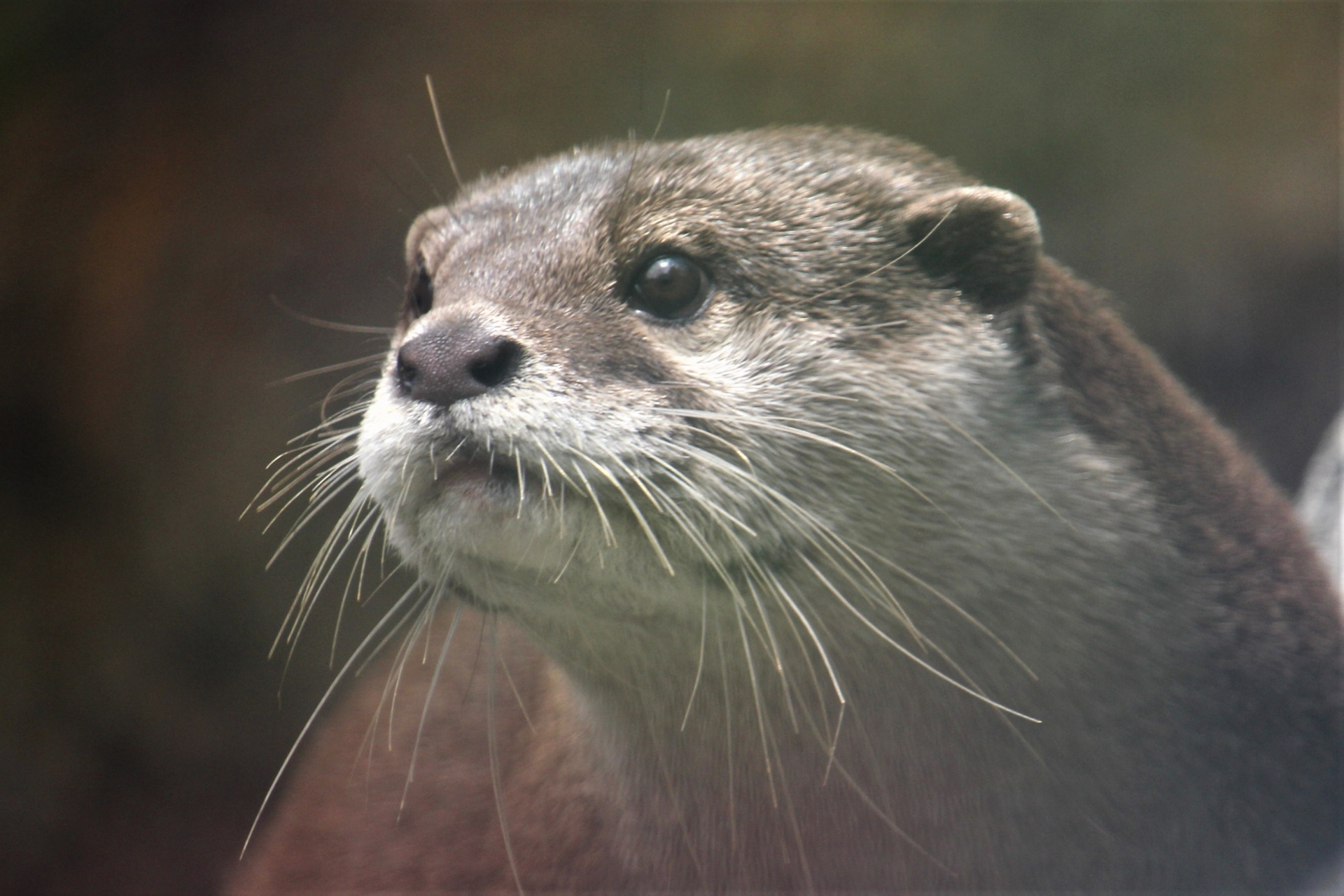 多摩動物公園