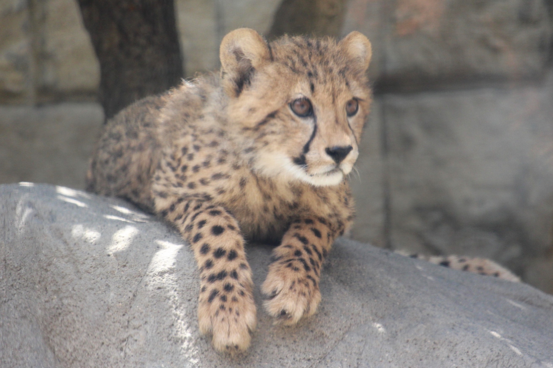 多摩動物公園