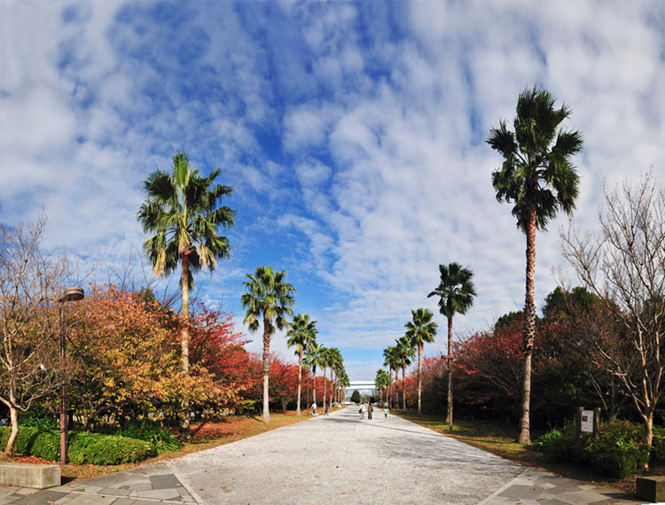 潮風公園