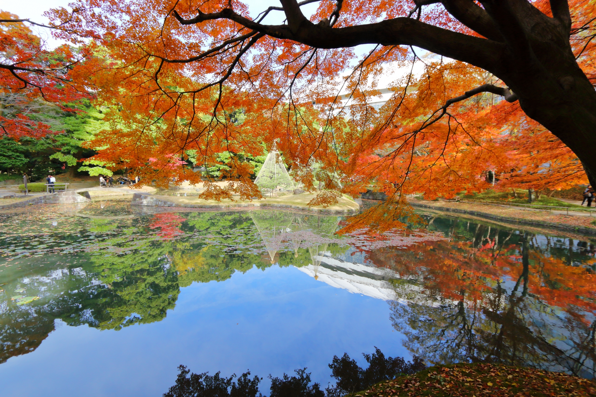 小石川後楽園