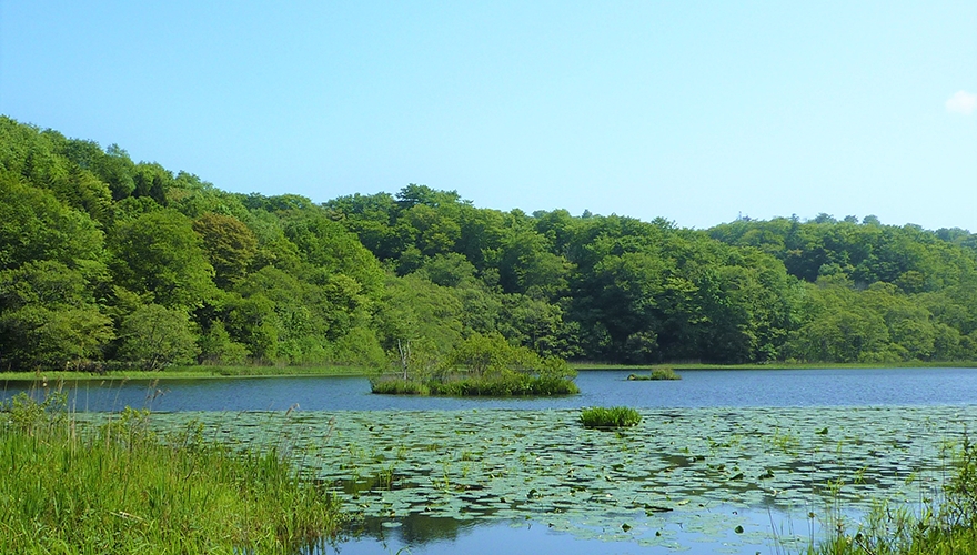 浮島公園