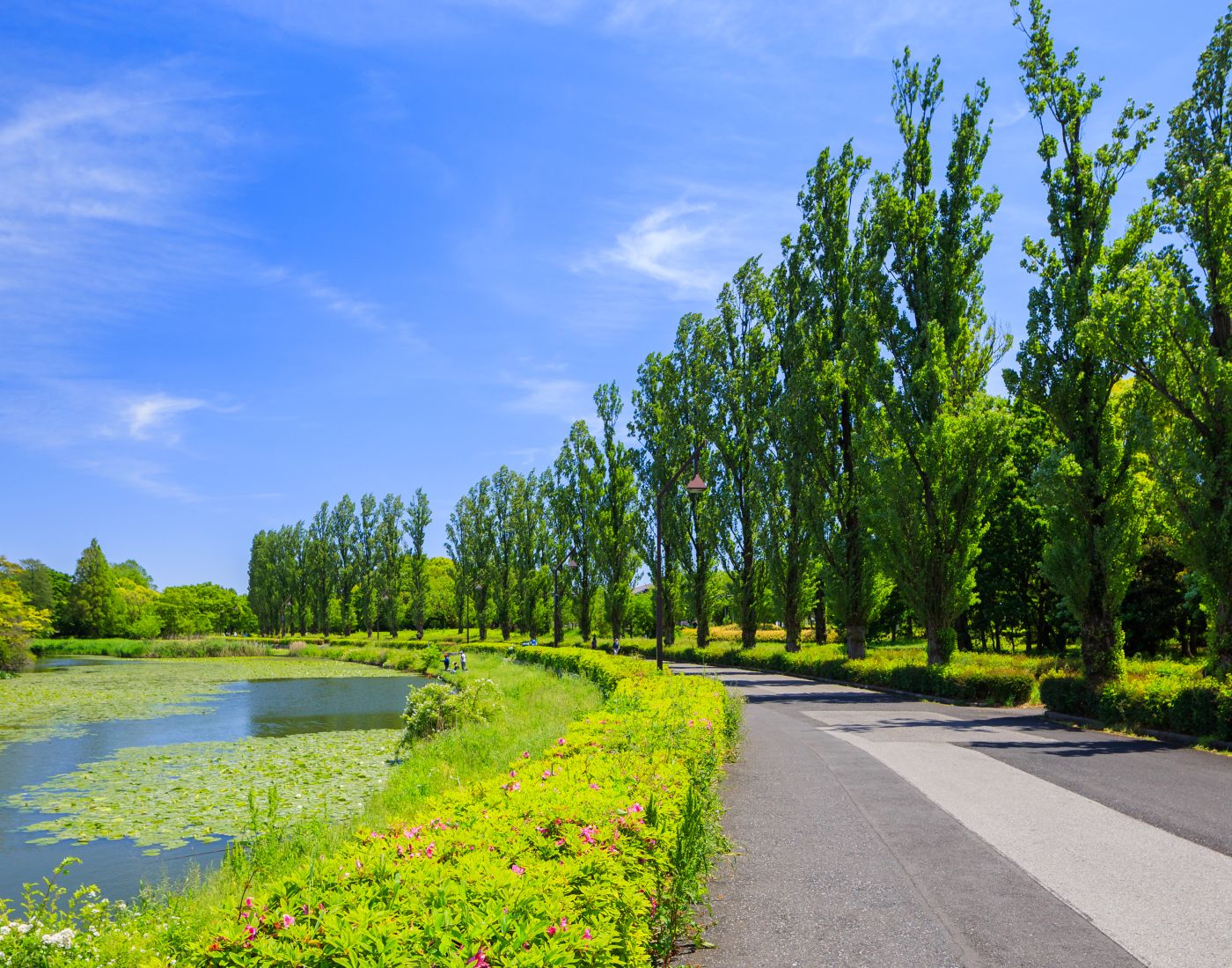 水元公園