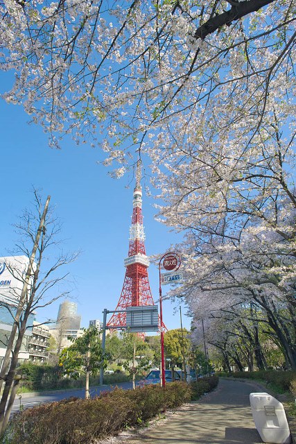 芝公園