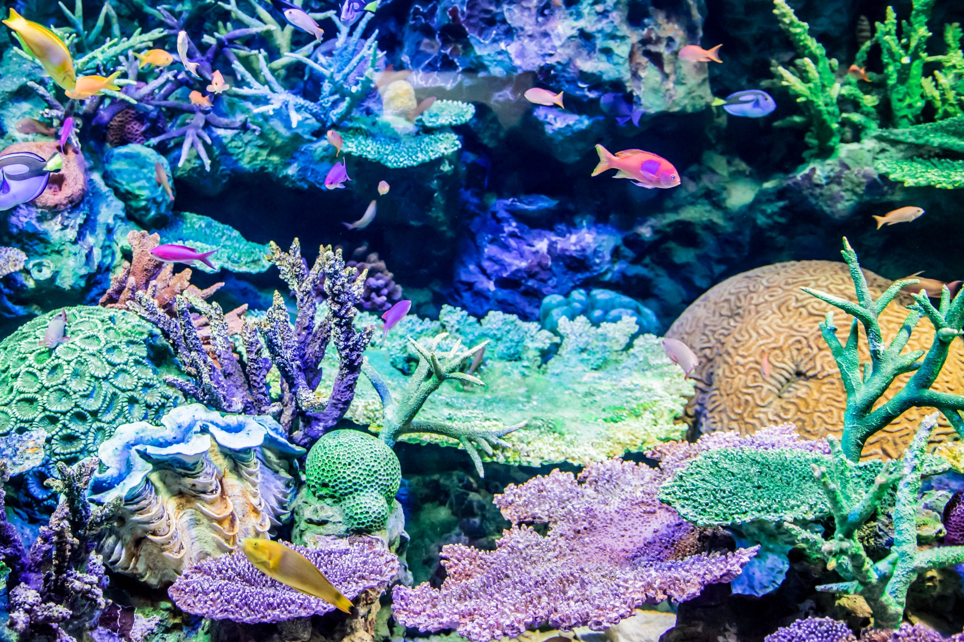 サンシャイン水族館