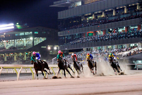 大井競馬場