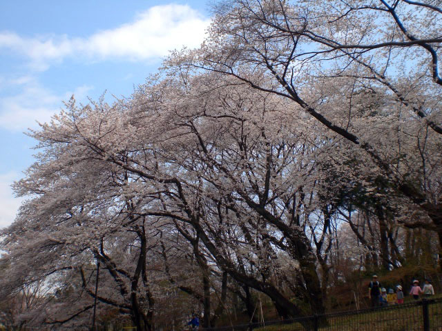 戸山公園