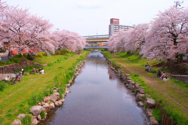 野川公園