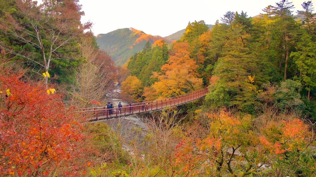 秋川渓谷