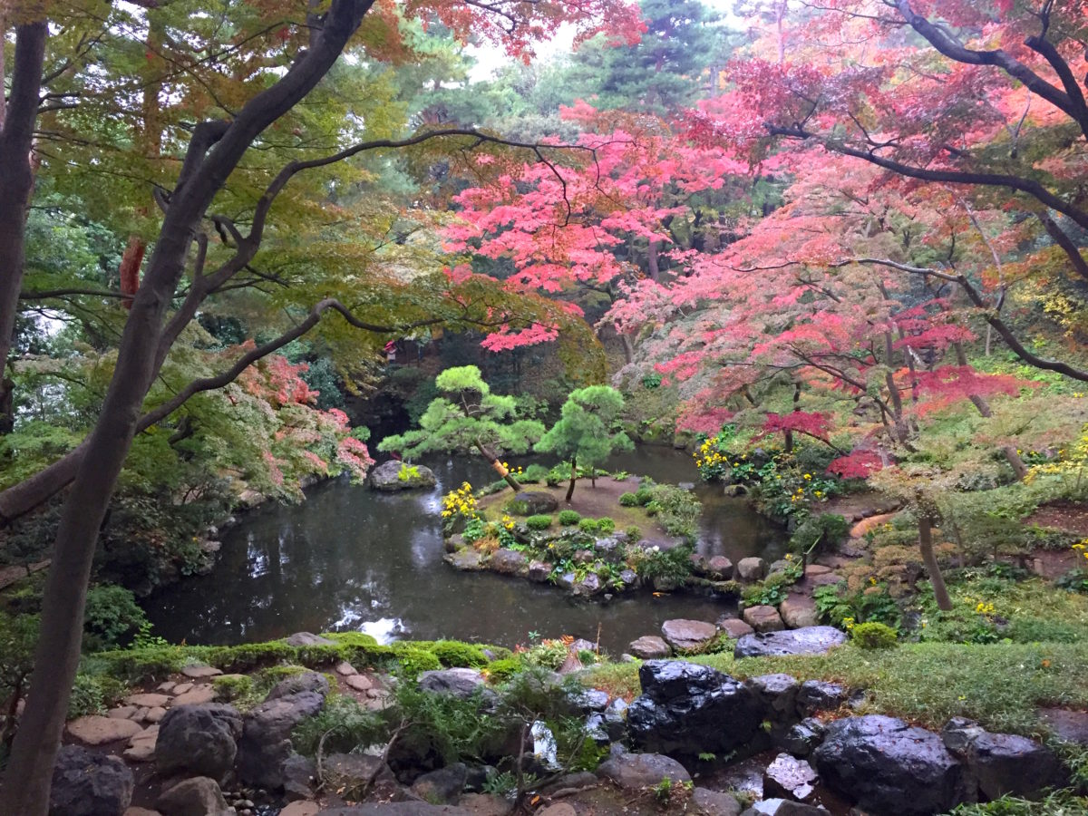 殿ヶ谷戸庭園