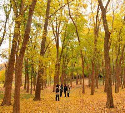 狭山公園