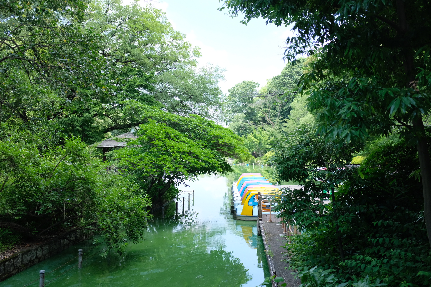 善福寺公園