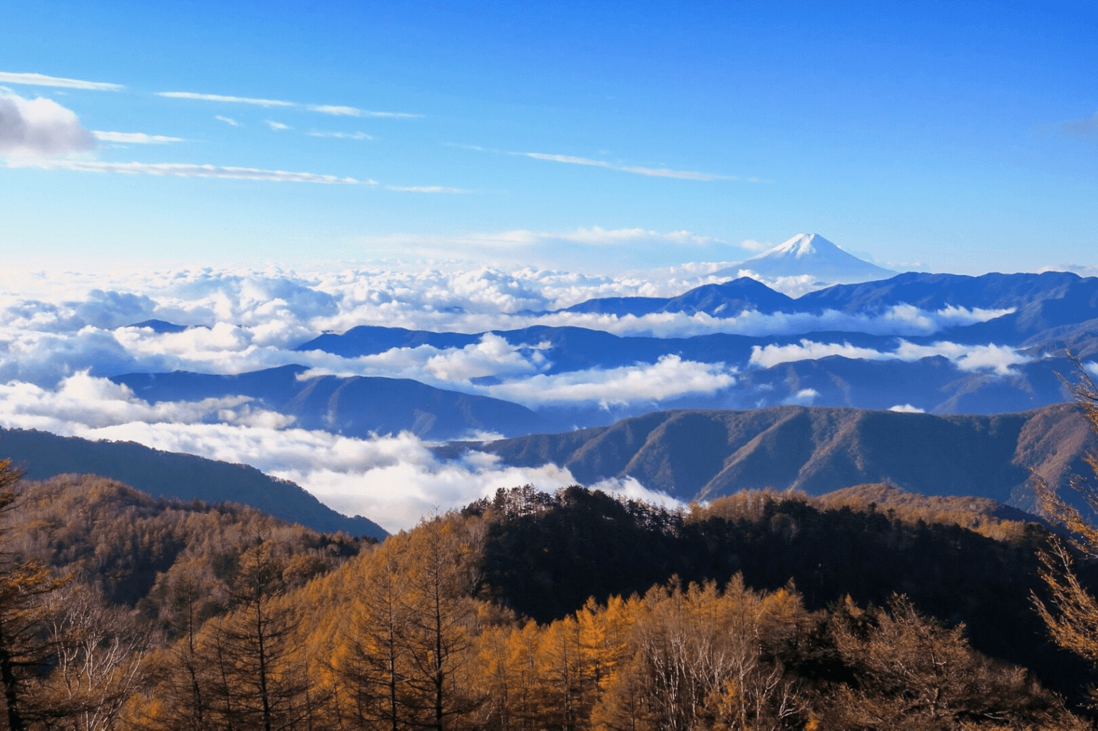 雲取山