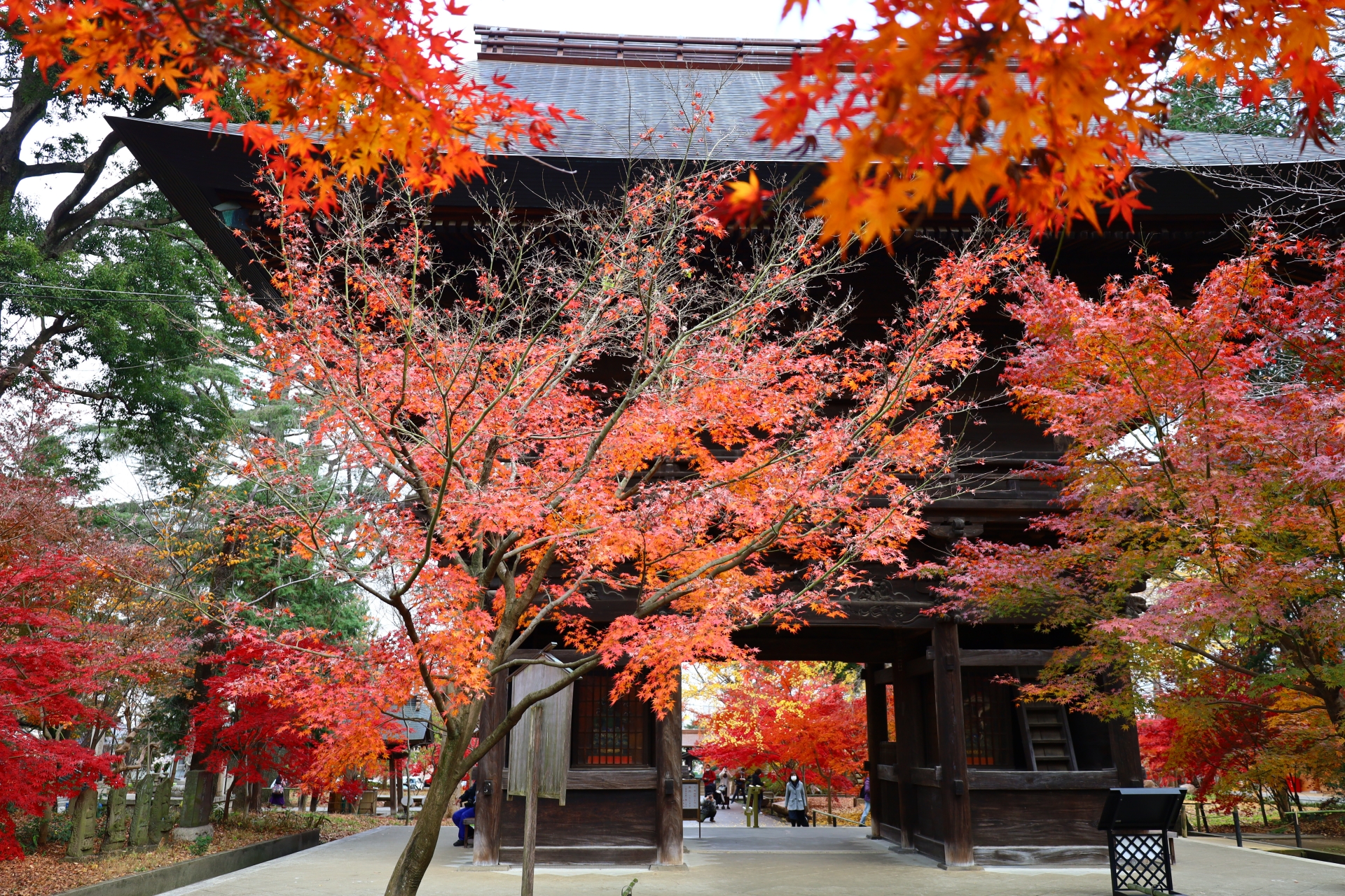 九品仏浄真寺