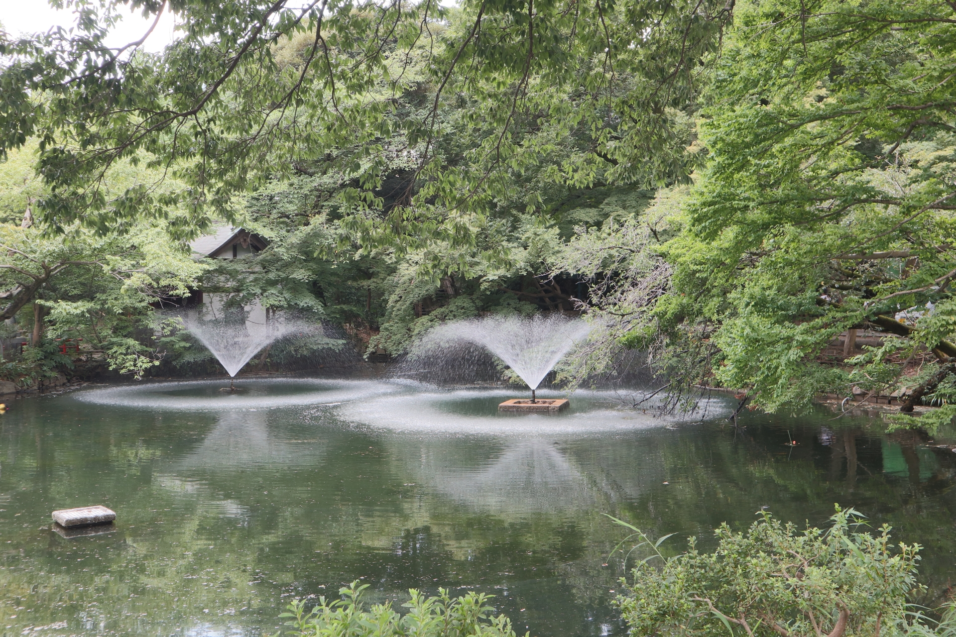 井の頭恩賜公園