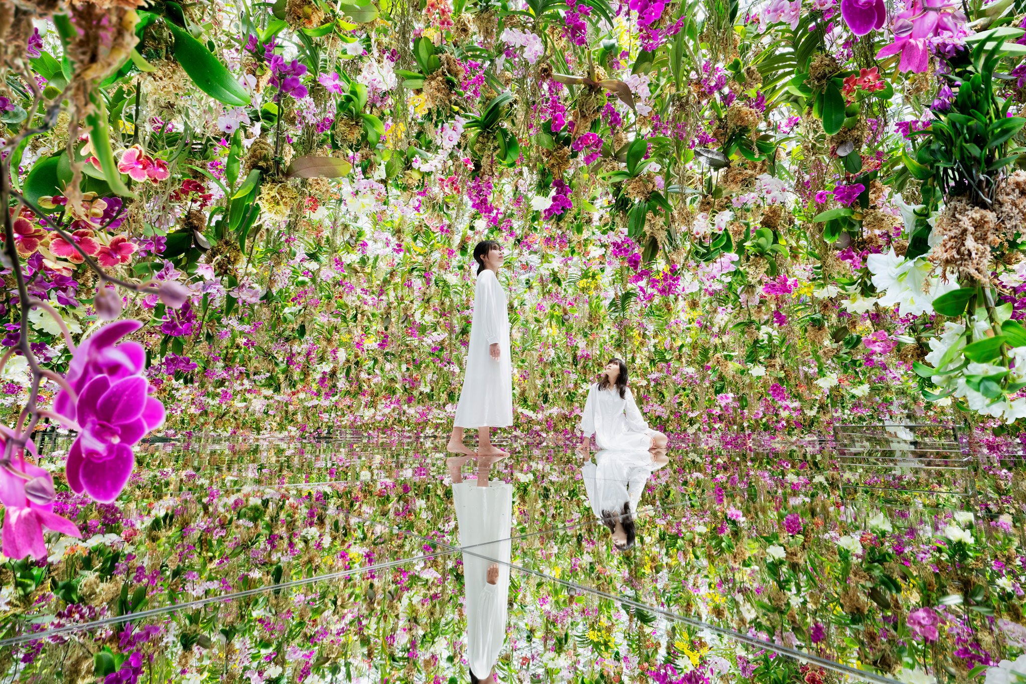 teamLab Planets TOKYO