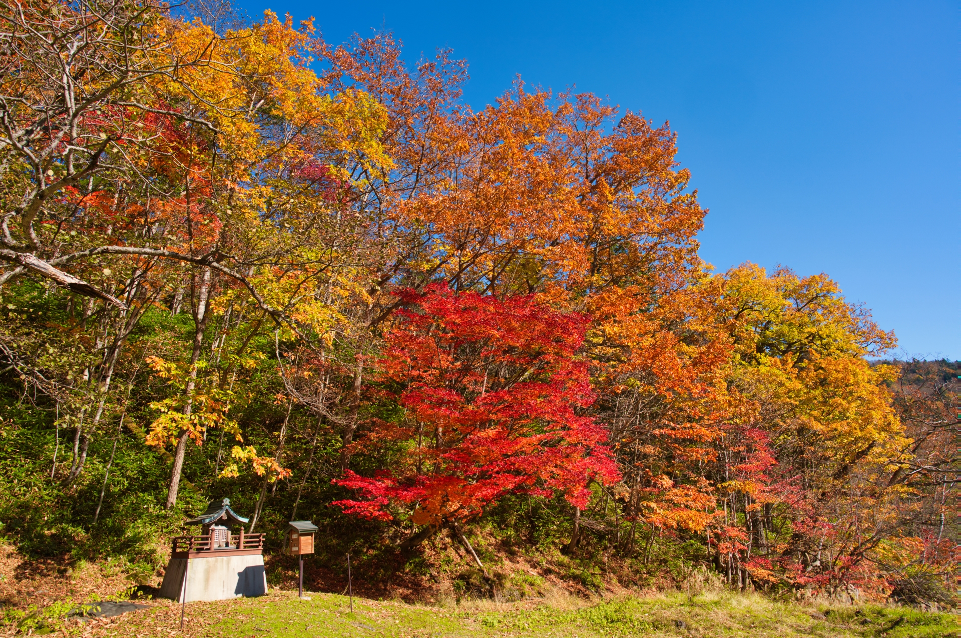 トムラウシ山