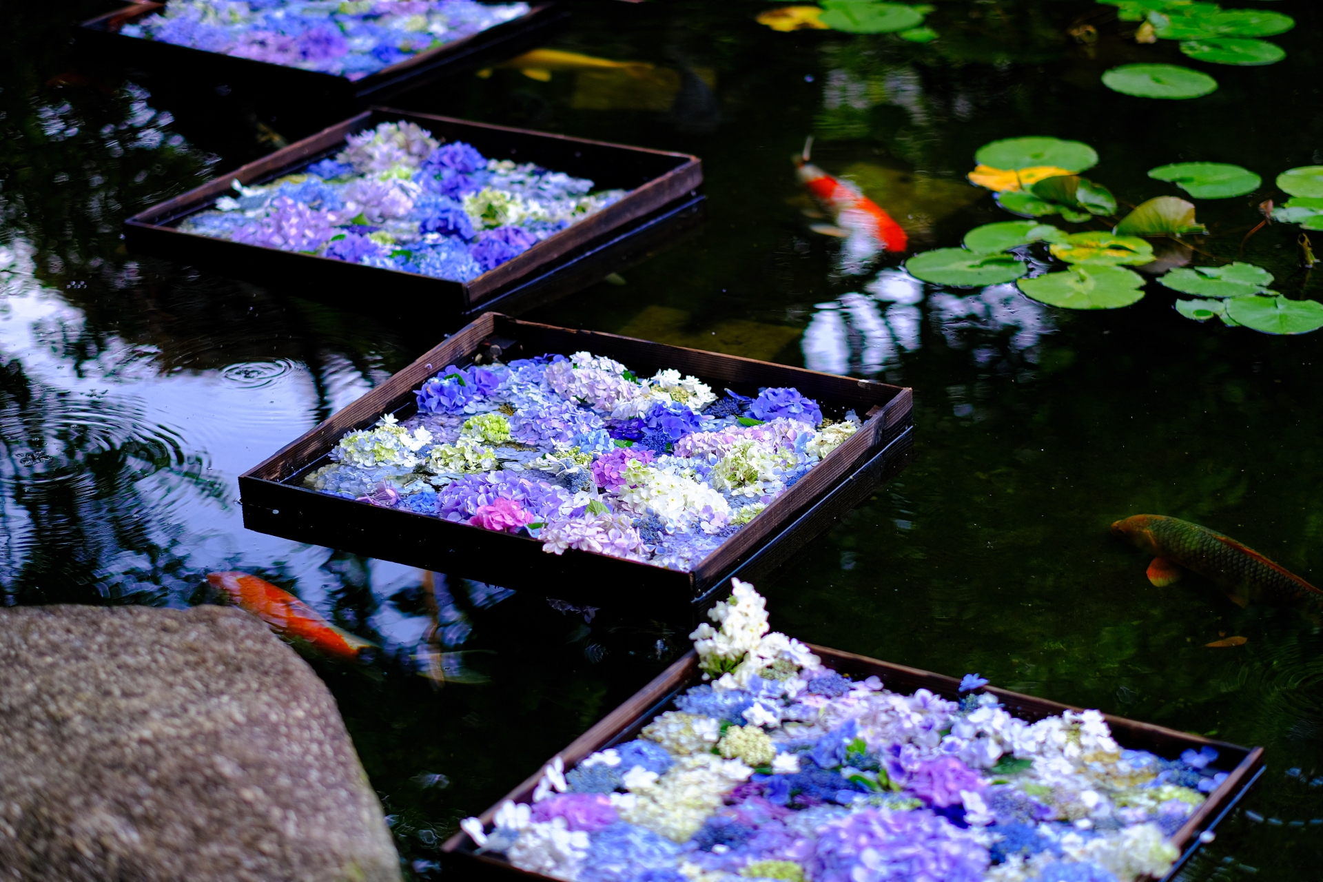 鎌倉 長谷寺