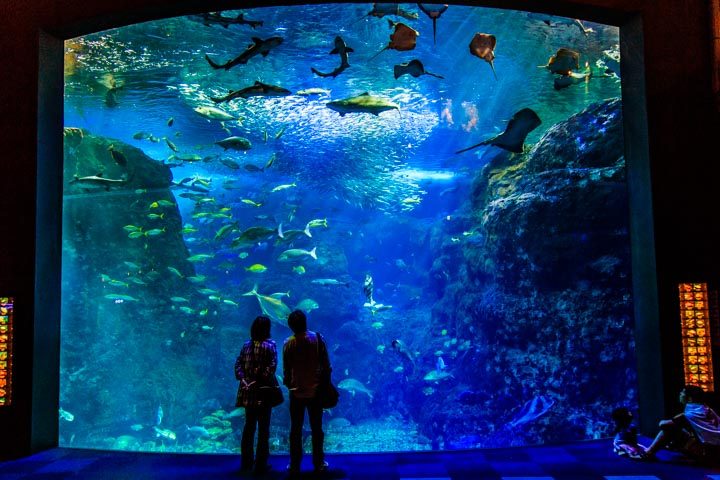 新江ノ島水族館