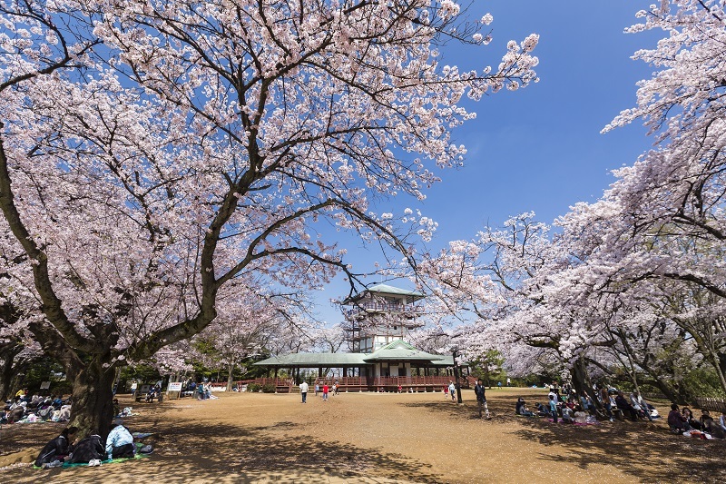 生田緑地