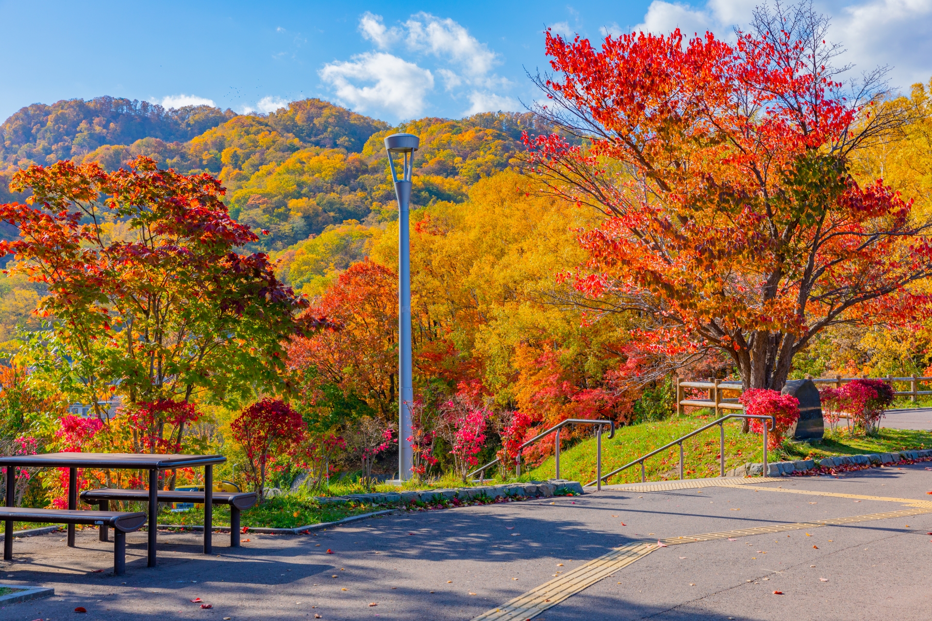 旭山記念公園