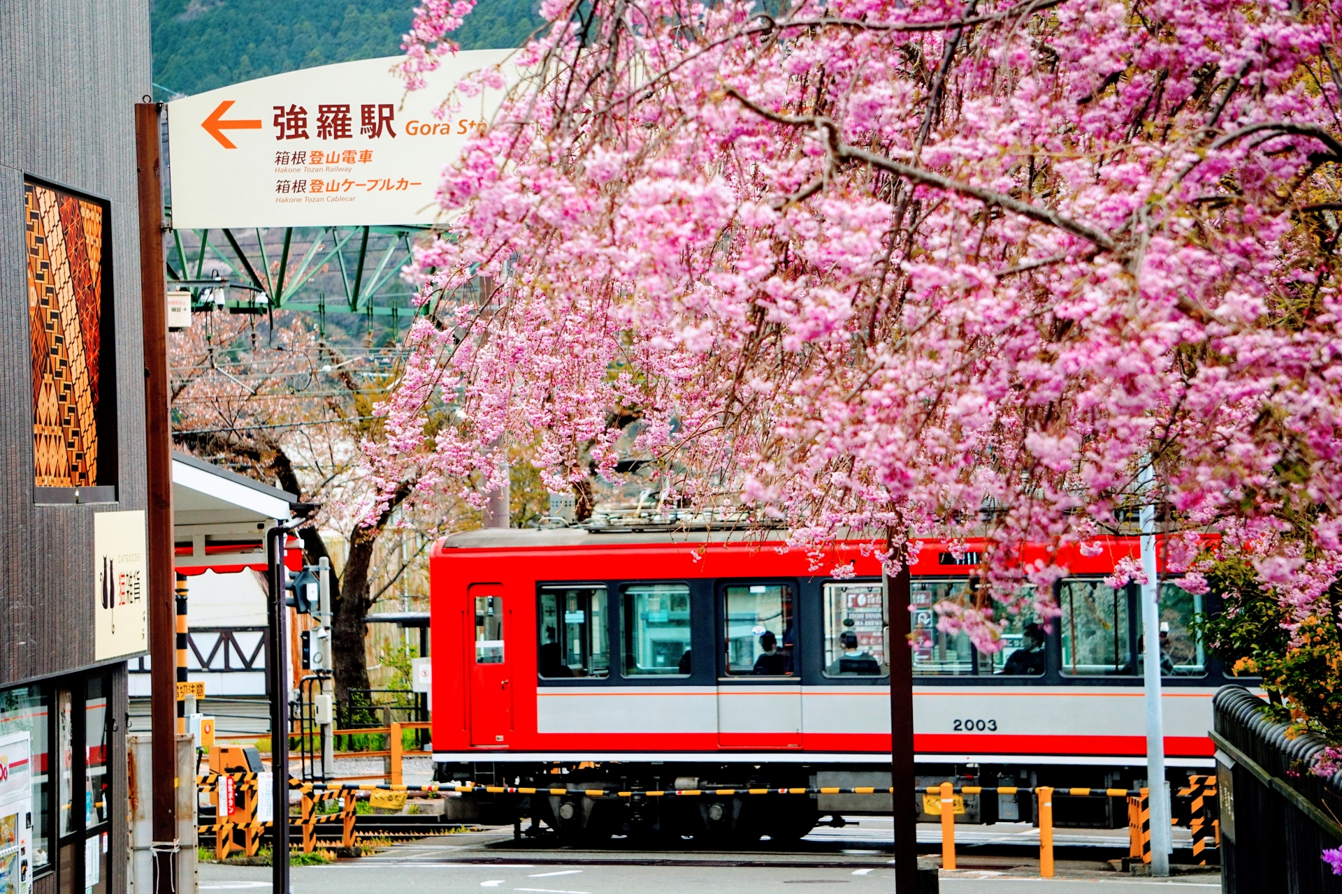 箱根登山鉄道