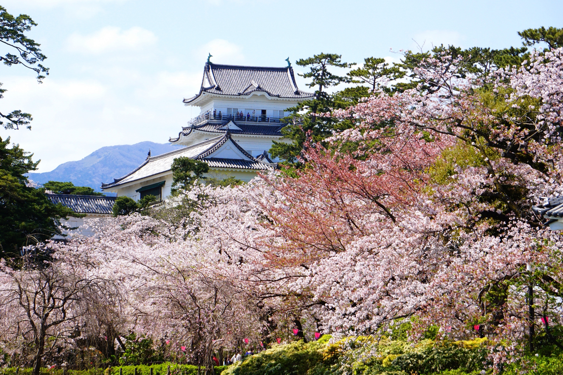 小田原城