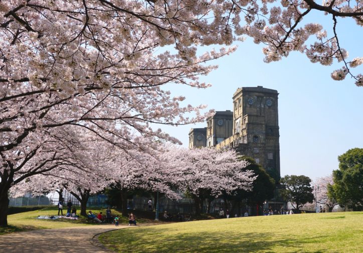 根岸森林公園