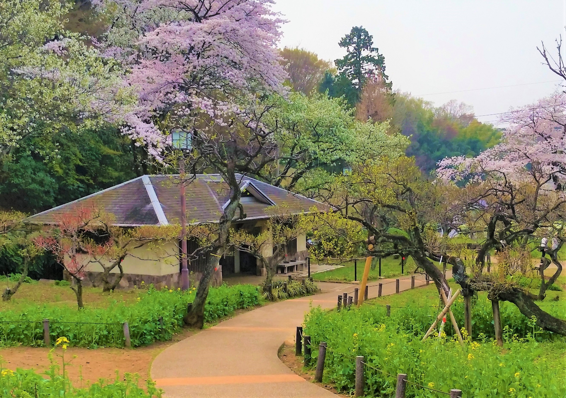 大倉山公園